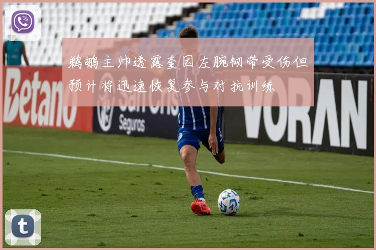 鹈鹕主帅透露奎因左腕韧带受伤但预计将迅速恢复参与对抗训练