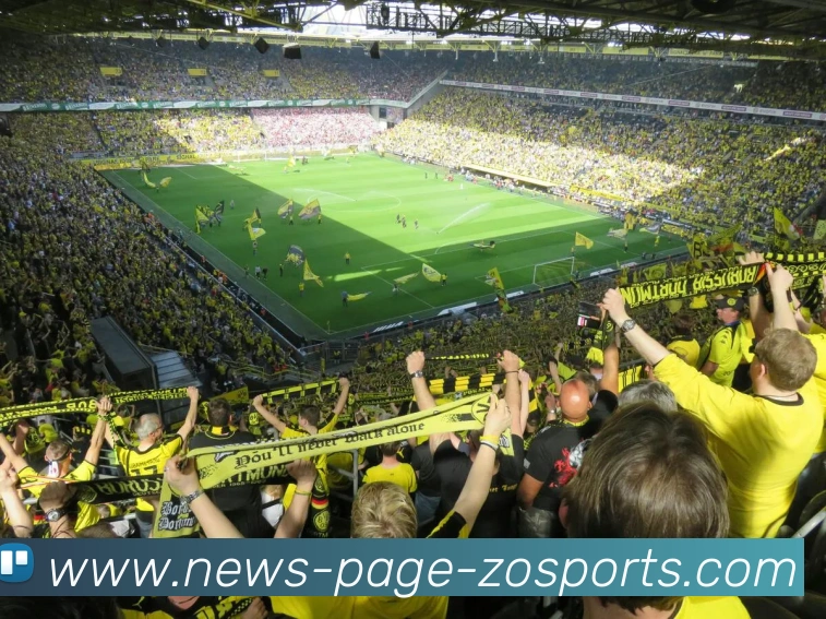 中欧体育平台生态图